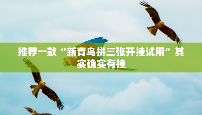 推荐一款“新青鸟拼三张开挂试用”其实确实有挂