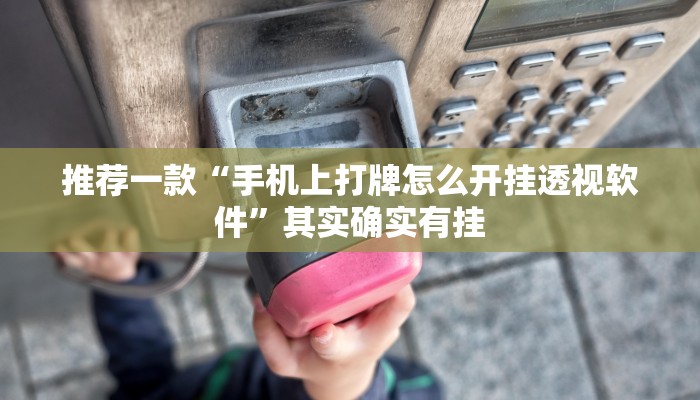 推荐一款“手机上打牌怎么开挂透视软件”其实确实有挂