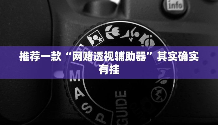 推荐一款“网赌透视辅助器”其实确实有挂