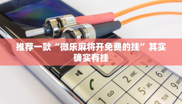 推荐一款“微乐麻将开免费的挂”其实确实有挂