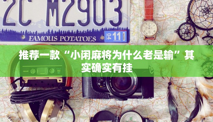 推荐一款“小闲麻将为什么老是输”其实确实有挂