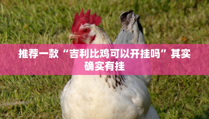 推荐一款“微乐卡五星怎么开挂”其实确实有挂