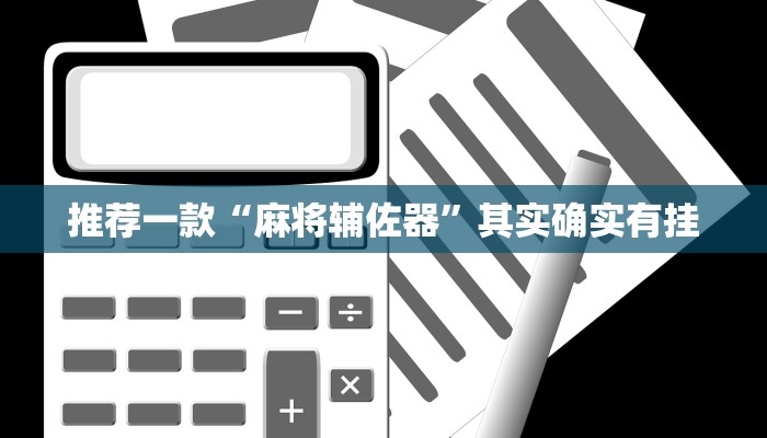 推荐一款“麻将辅佐器”其实确实有挂