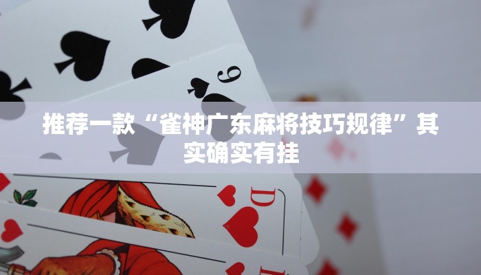 推荐一款“雀神广东麻将技巧规律”其实确实有挂