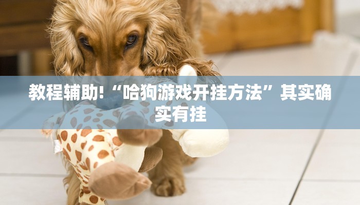 教程辅助!“哈狗游戏开挂方法”其实确实有挂