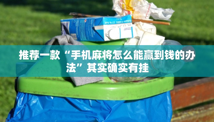 推荐一款“微乐麻将开挂版本软件”其实确实有挂