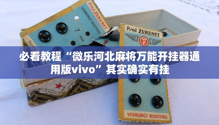 必看教程“微乐河北麻将万能开挂器通用版vivo”其实确实有挂