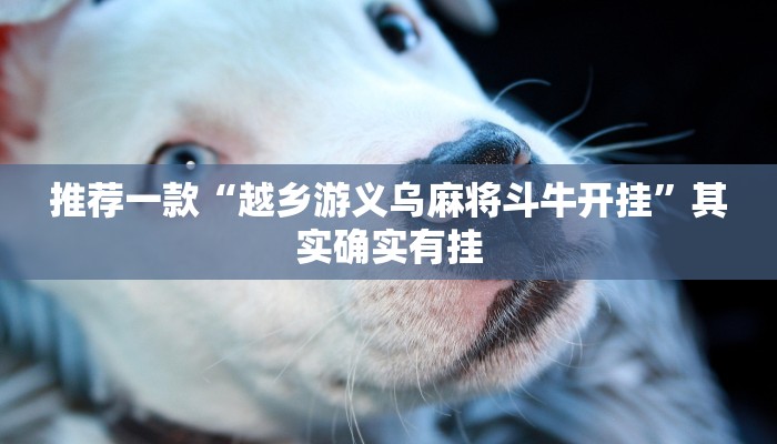 推荐一款“越乡游义乌麻将斗牛开挂”其实确实有挂
