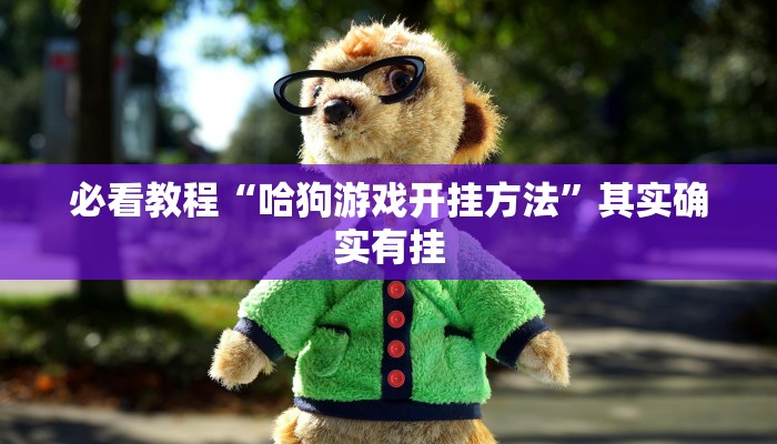 必看教程“哈狗游戏开挂方法”其实确实有挂