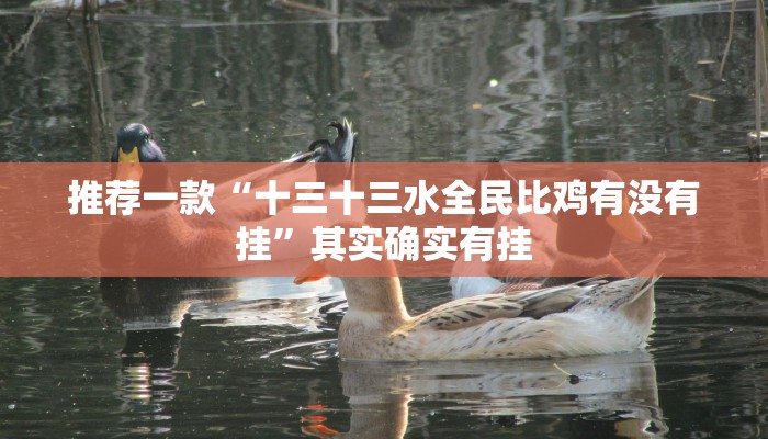 推荐一款“十三十三水全民比鸡有没有挂”其实确实有挂
