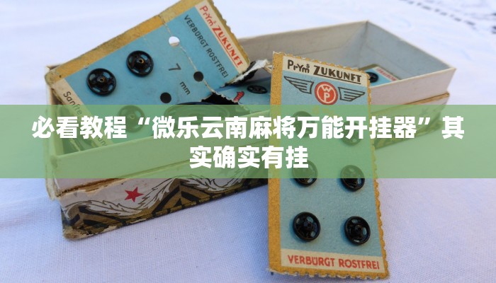 教程辅助!“杭州都莱辅助器”其实确实有挂