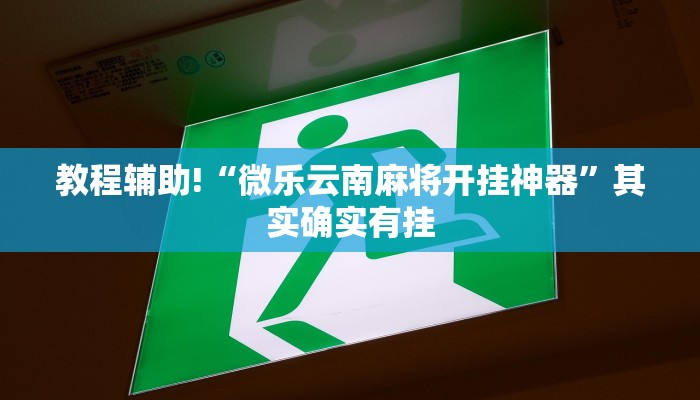 教程辅助!“微乐云南麻将开挂神器”其实确实有挂