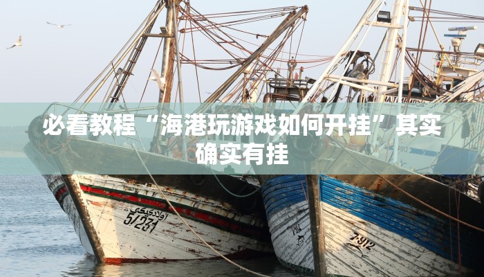 必看教程“海港玩游戏如何开挂”其实确实有挂