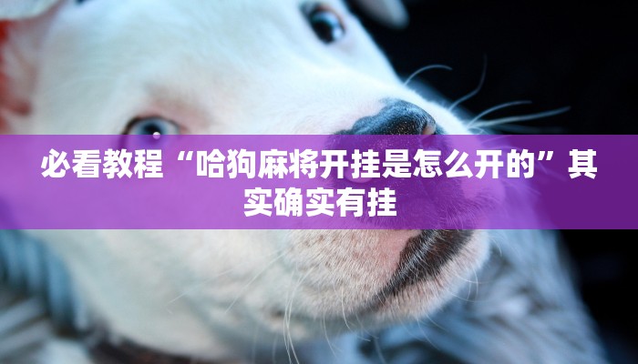 必看教程“哈狗麻将开挂是怎么开的”其实确实有挂