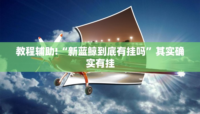 教程辅助!“新蓝鲸到底有挂吗”其实确实有挂