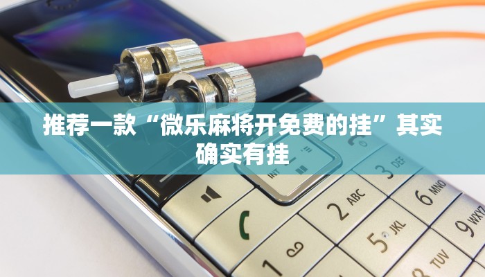 推荐一款“微乐麻将开免费的挂”其实确实有挂