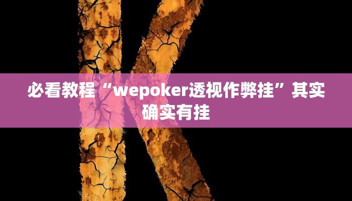教程辅助!“小程序微乐斗地主透视”其实确实有挂