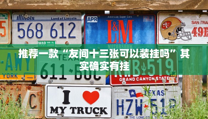 推荐一款“友间十三张可以装挂吗”其实确实有挂