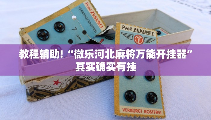 教程辅助!“微乐河北麻将万能开挂器”其实确实有挂