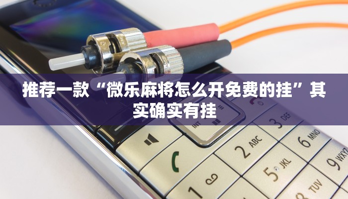 新乡限行豁免政策解析，适用条件、申请流程与注意事项