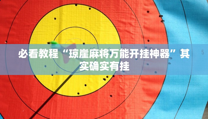 必看教程“琼崖麻将万能开挂神器”其实确实有挂