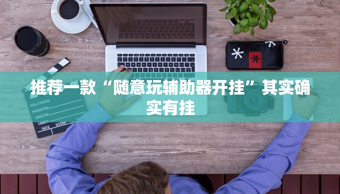 推荐一款“随意玩辅助器开挂”其实确实有挂