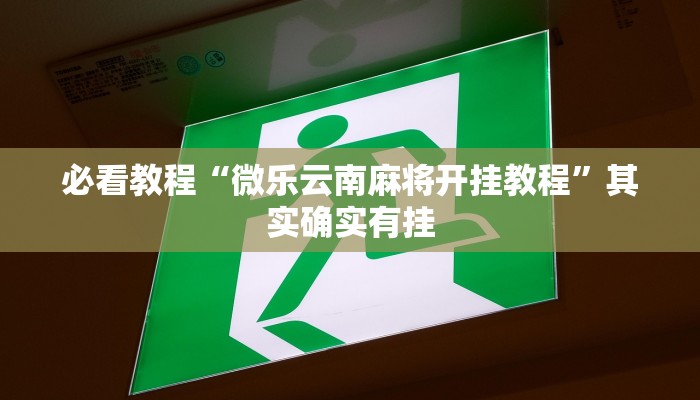 必看教程“微乐云南麻将开挂教程”其实确实有挂