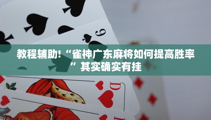 教程辅助!“雀神广东麻将如何提高胜率”其实确实有挂