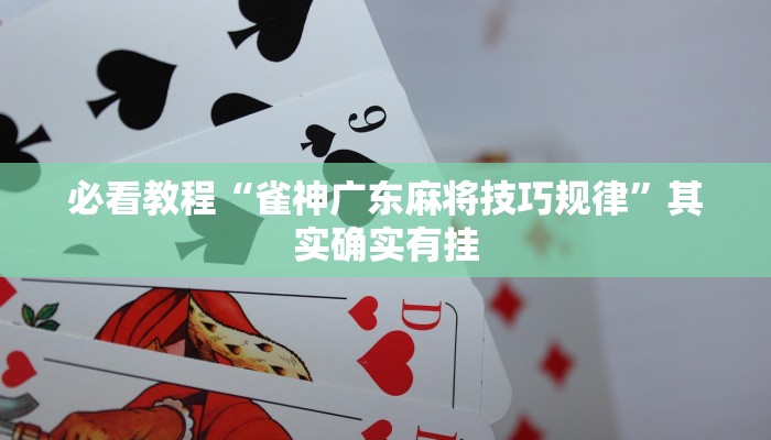 必看教程“雀神广东麻将技巧规律”其实确实有挂