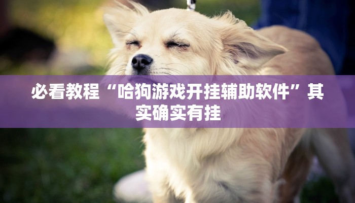 必看教程“哈狗游戏开挂辅助软件”其实确实有挂