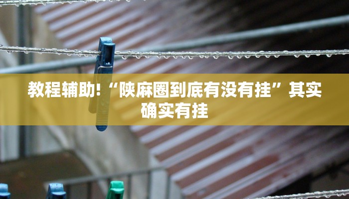 教程辅助!“陕麻圈到底有没有挂”其实确实有挂