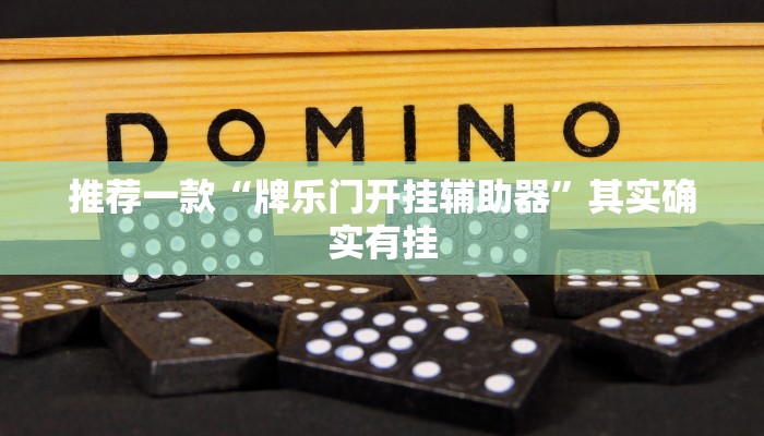 推荐一款“牌乐门开挂辅助器”其实确实有挂