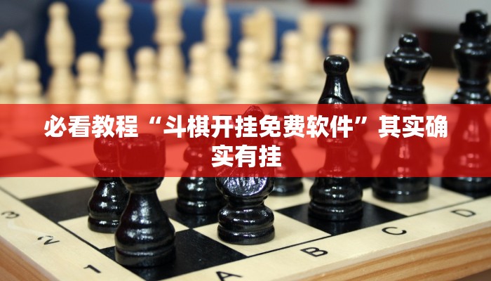 必看教程“斗棋开挂免费软件”其实确实有挂