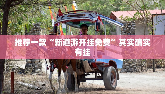 推荐一款“新道游开挂免费”其实确实有挂