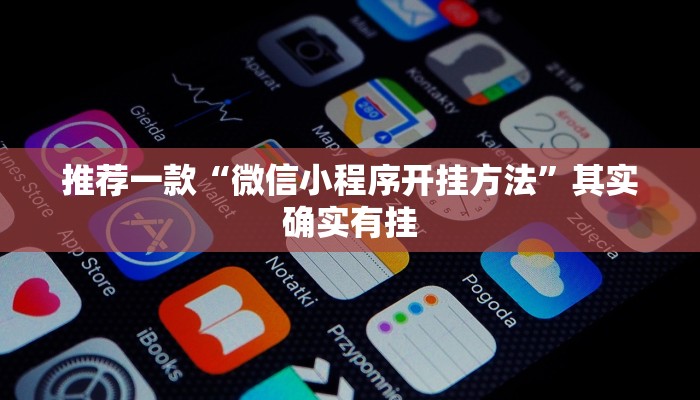 推荐一款“微信小程序开挂方法”其实确实有挂