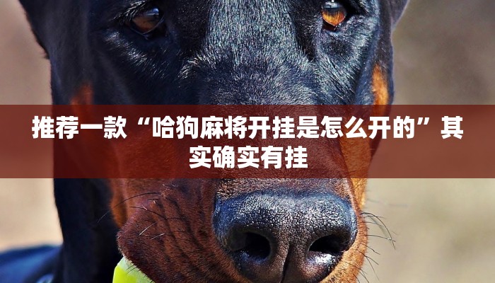 推荐一款“哈狗麻将开挂是怎么开的”其实确实有挂