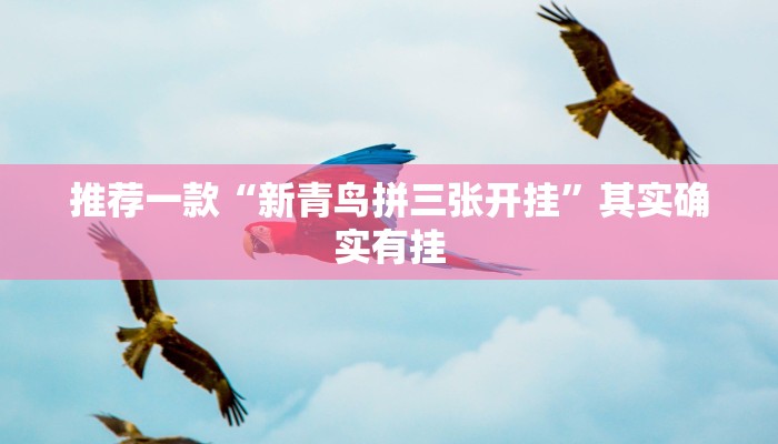 推荐一款“新青鸟拼三张开挂”其实确实有挂