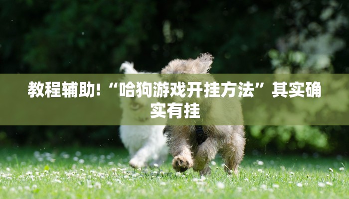 教程辅助!“哈狗游戏开挂方法”其实确实有挂