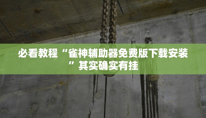 必看教程“雀神辅助器免费版下载安装”其实确实有挂