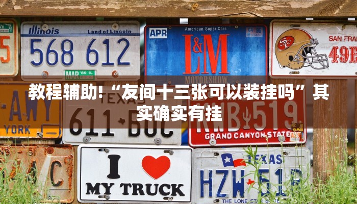 教程辅助!“友间十三张可以装挂吗”其实确实有挂