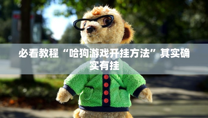 必看教程“哈狗游戏开挂方法”其实确实有挂