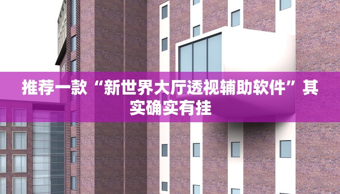 推荐一款“新世界大厅透视辅助软件”其实确实有挂