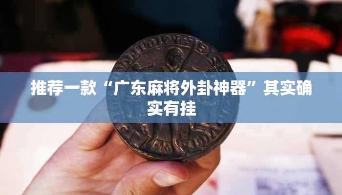 推荐一款“广东麻将外卦神器”其实确实有挂