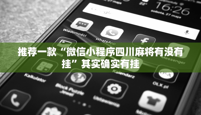 推荐一款“微信小程序四川麻将有没有挂”其实确实有挂