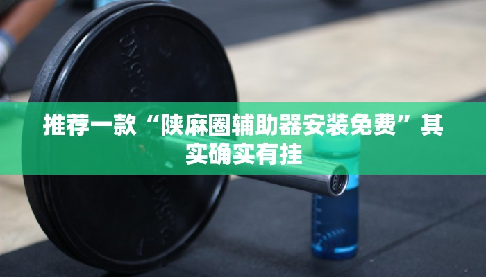 推荐一款“陕麻圈辅助器安装免费”其实确实有挂