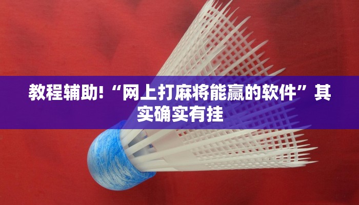 教程辅助!“网上打麻将能赢的软件”其实确实有挂