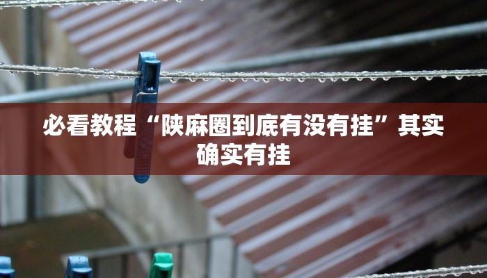必看教程“陕麻圈到底有没有挂”其实确实有挂