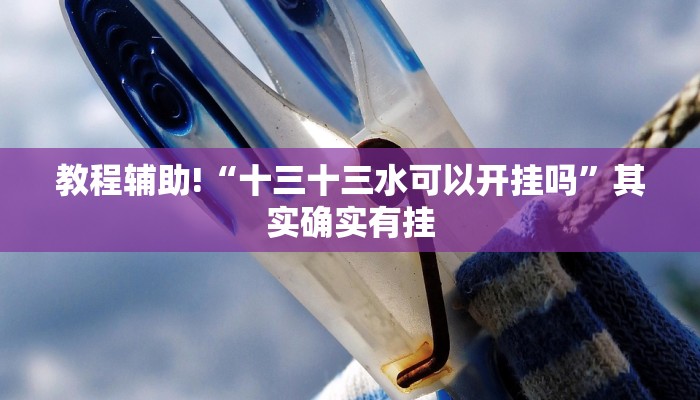 教程辅助!“十三十三水可以开挂吗”其实确实有挂
