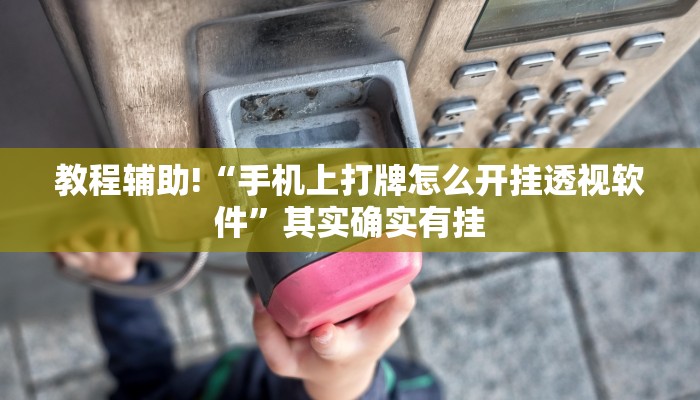 教程辅助!“微乐麻将小程序万能开挂器有用吗”其实确实有挂