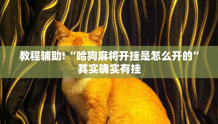 教程辅助!“哈狗麻将开挂是怎么开的”其实确实有挂